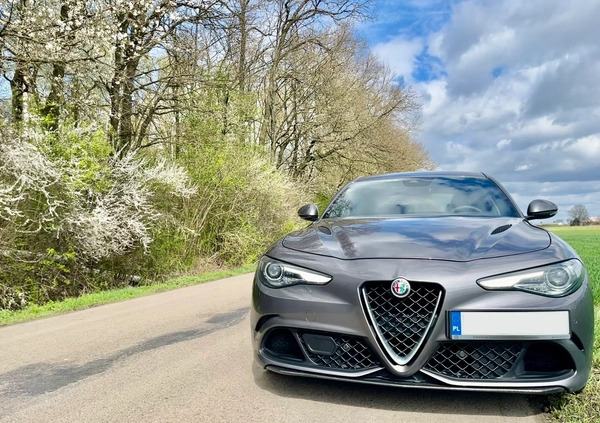 Alfa Romeo Giulia cena 209000 przebieg: 77000, rok produkcji 2018 z Świdnik małe 121